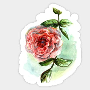 A Single Rose Watercolor Sticker